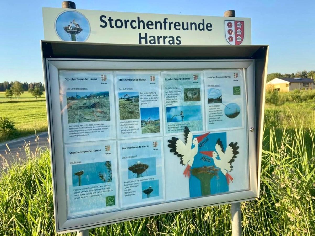 Ferienwohnung Storchennest Eisfeld 外观 照片